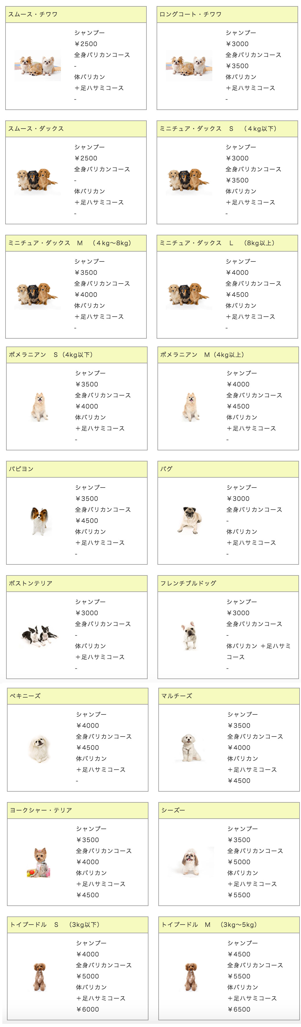 人気犬種のカットは4000円位とお手頃価格