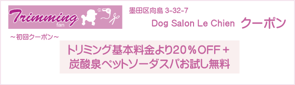 東京都墨田区のDog Salon Le Chienのクーポン券